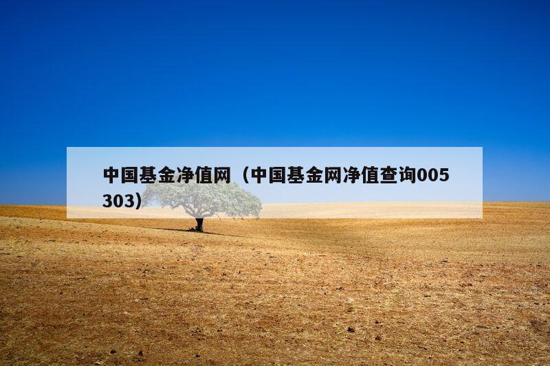 中国基金净值网（中国基金网净值查询005303）,第1张