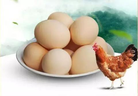 鸡蛋的价格（富硒无抗鸡蛋的价格）,鸡蛋的价格（富硒无抗鸡蛋的价格）,第2张